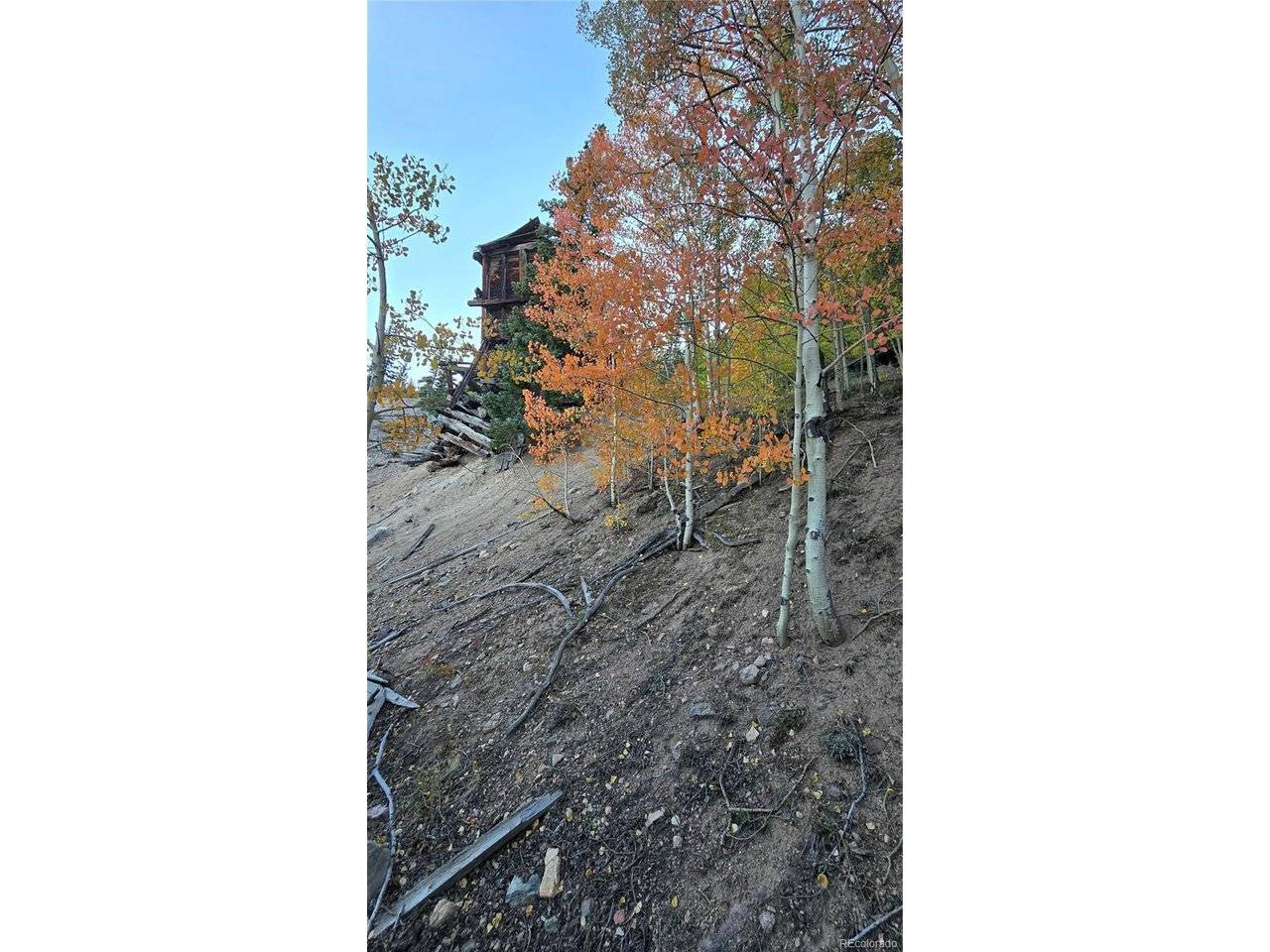 Democrat Mountain Claims, Georgetown, CO 80444