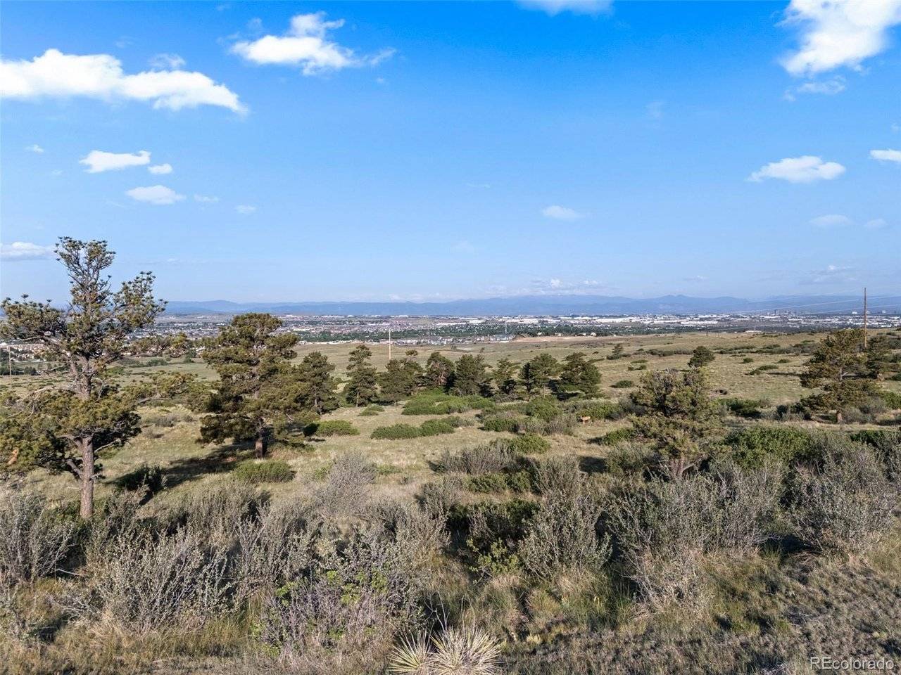 13500 Pine, Parker, CO 80138
