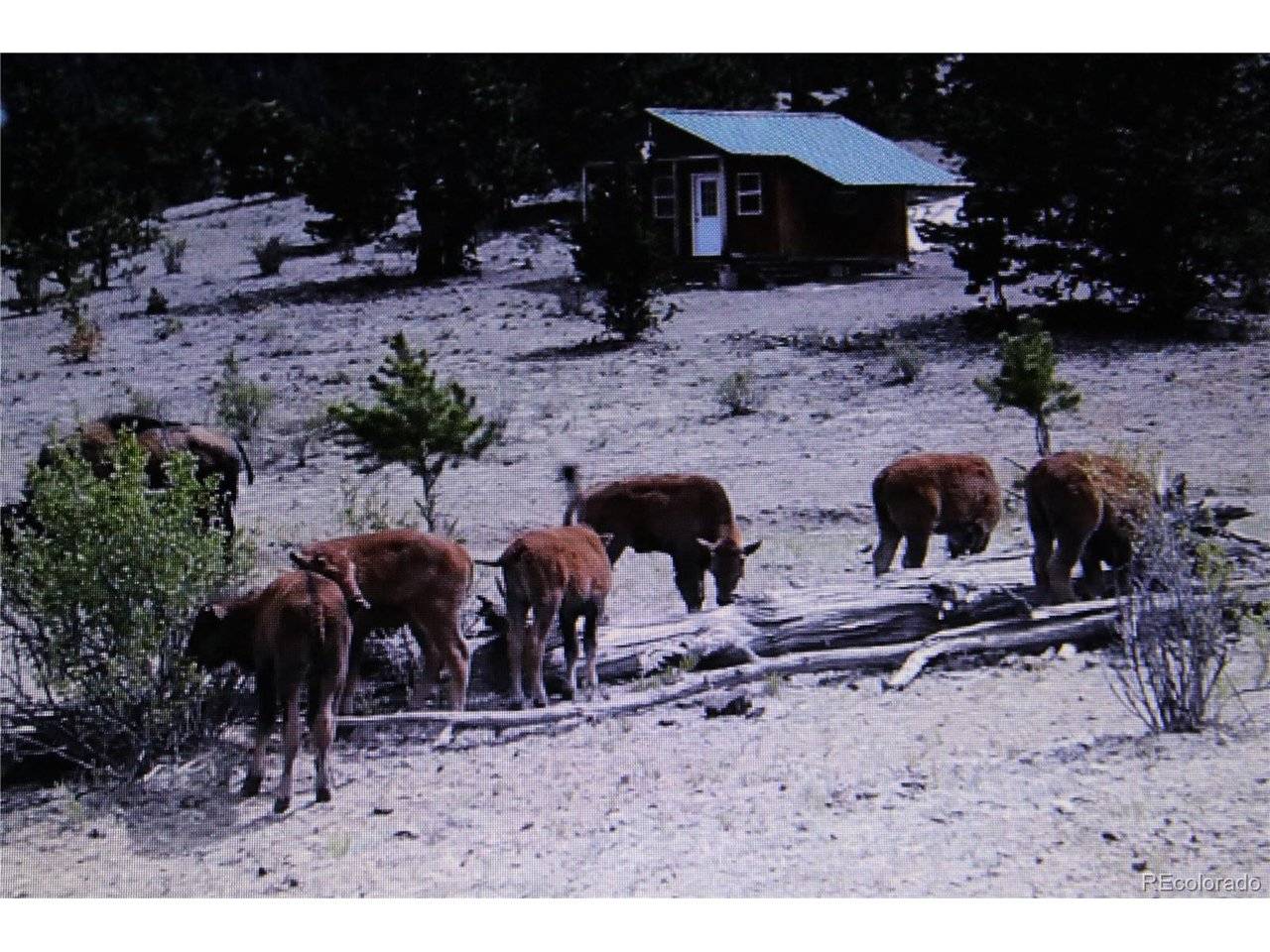 Address not disclosed, Hartsel, CO 80449