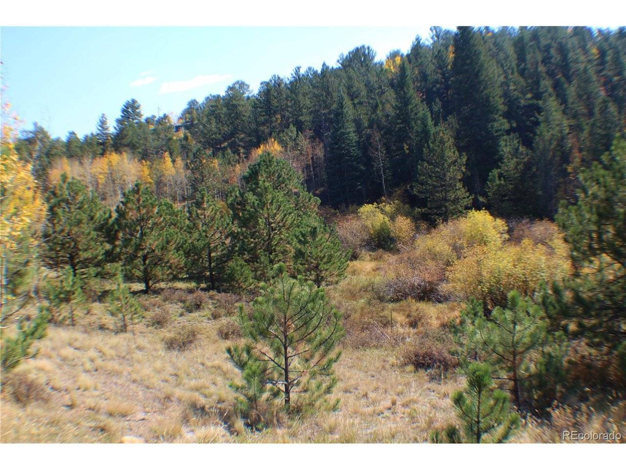 2020 Shelton, Bailey, CO 80421