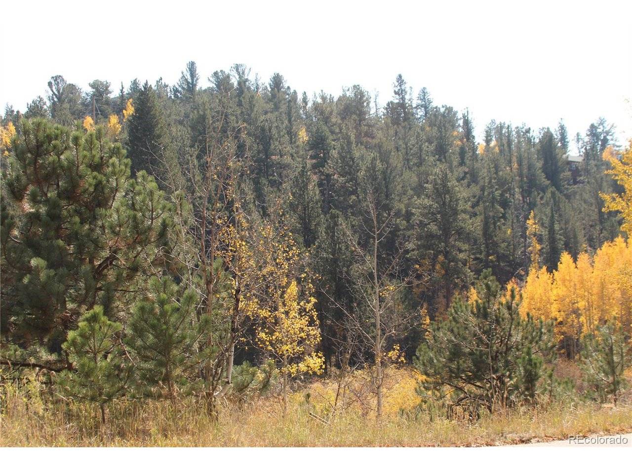 2020 Shelton, Bailey, CO 80421