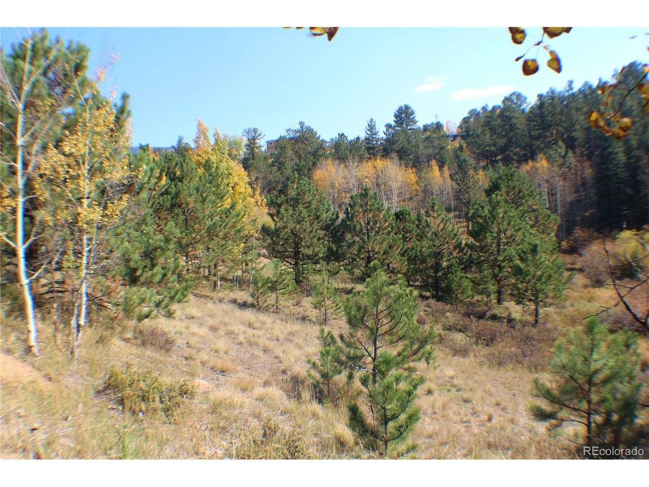 2020 Shelton, Bailey, CO 80421