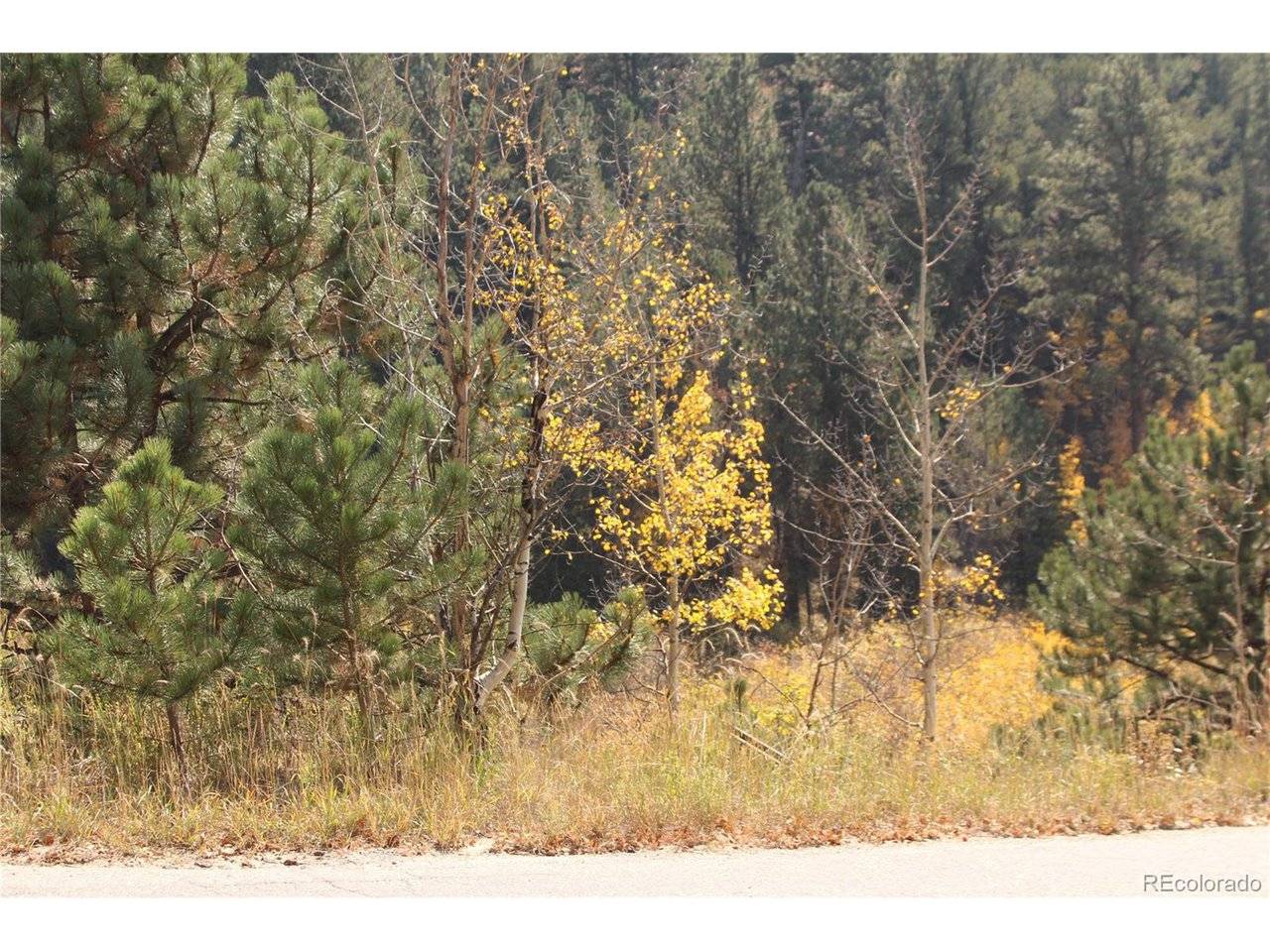 2020 Shelton, Bailey, CO 80421