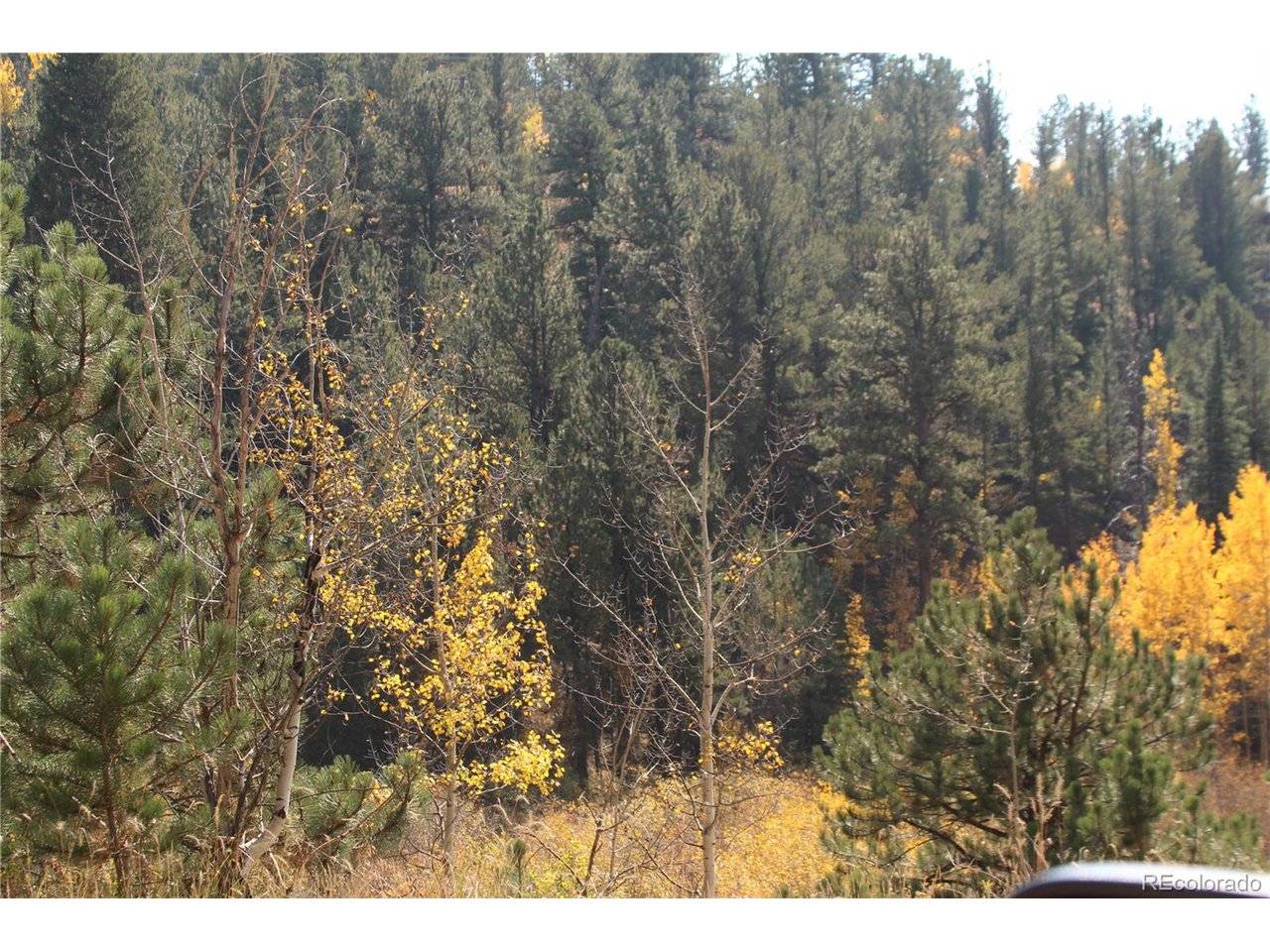 2020 Shelton, Bailey, CO 80421