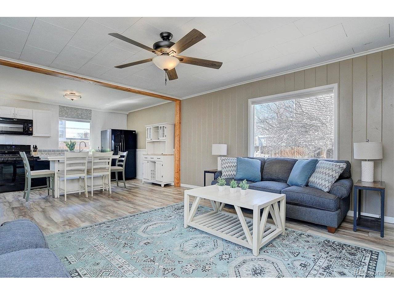 116 N Court, Buena Vista, CO 81211