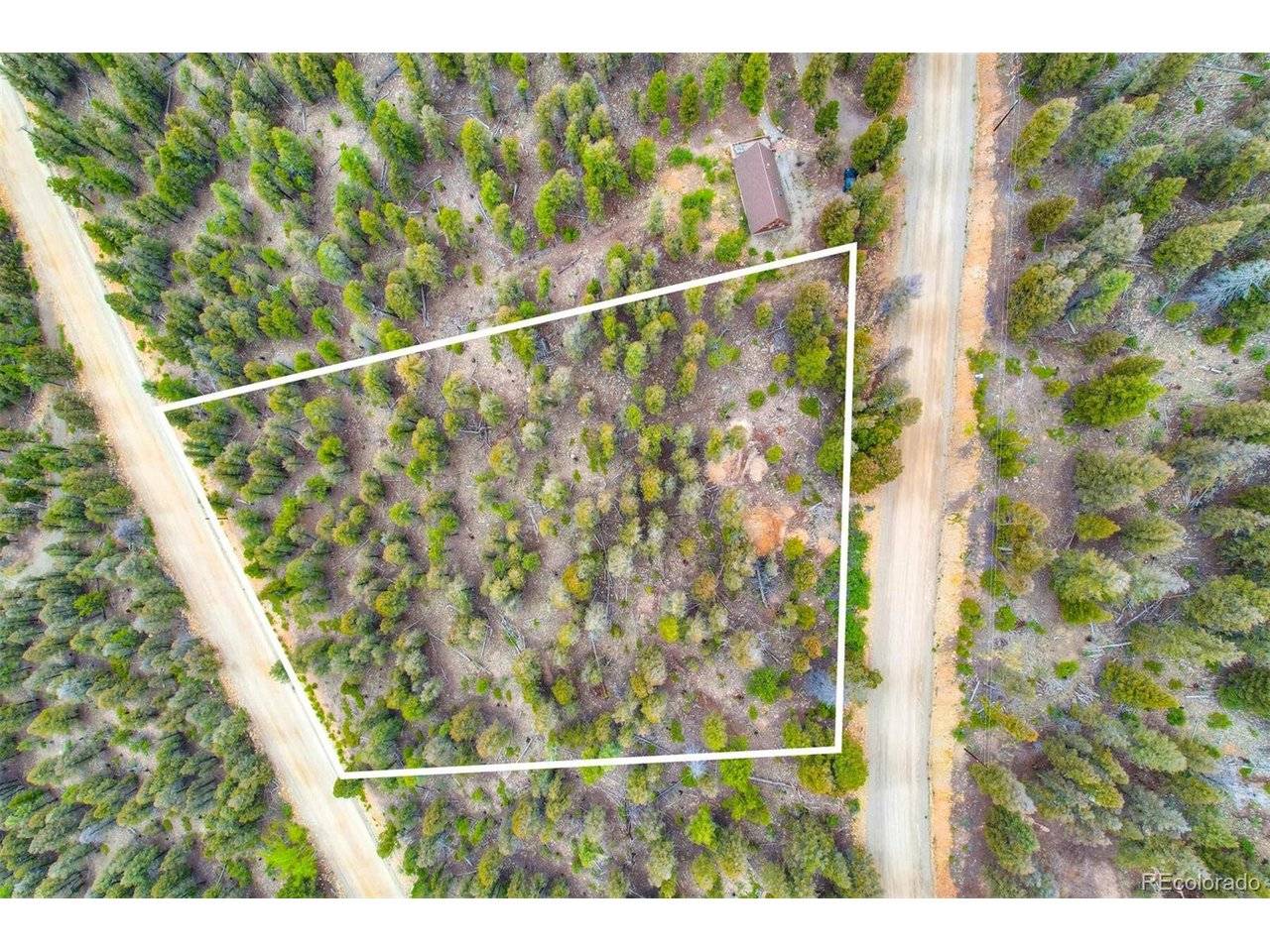 0 Trout Creek, Fairplay, CO 80440