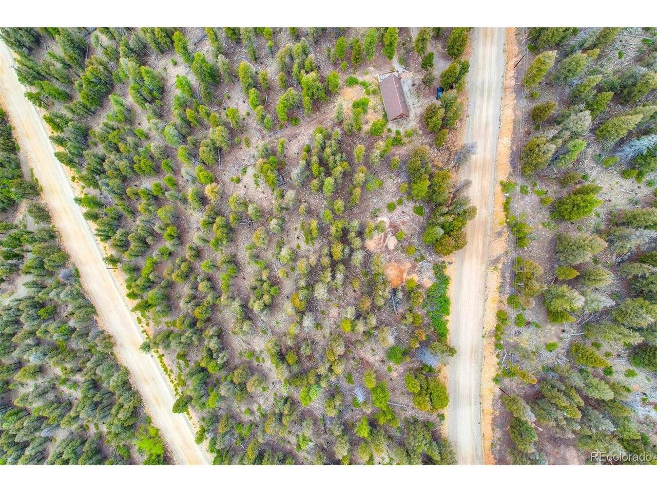 0 Trout Creek, Fairplay, CO 80440
