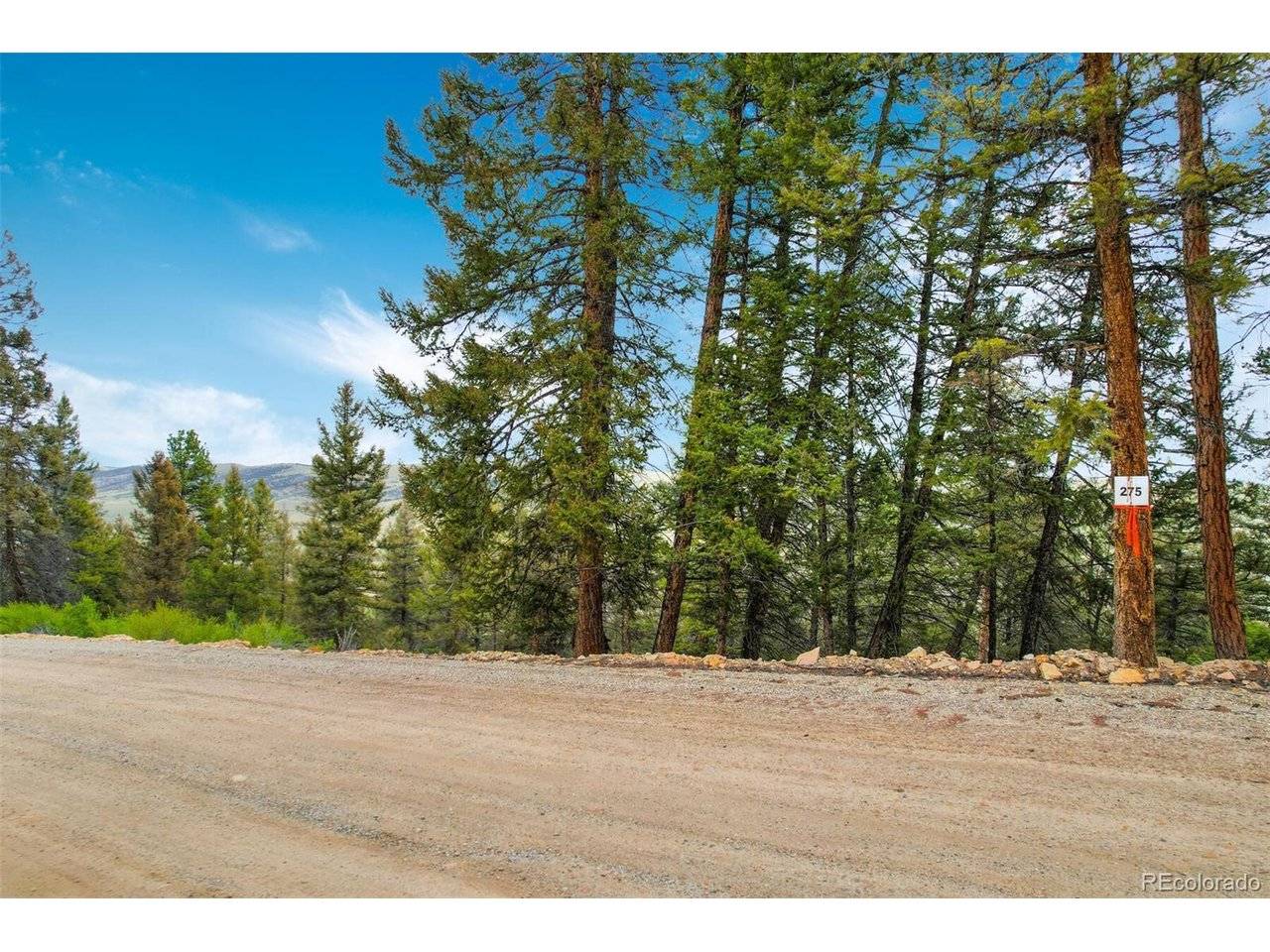 0 Trout Creek, Fairplay, CO 80440
