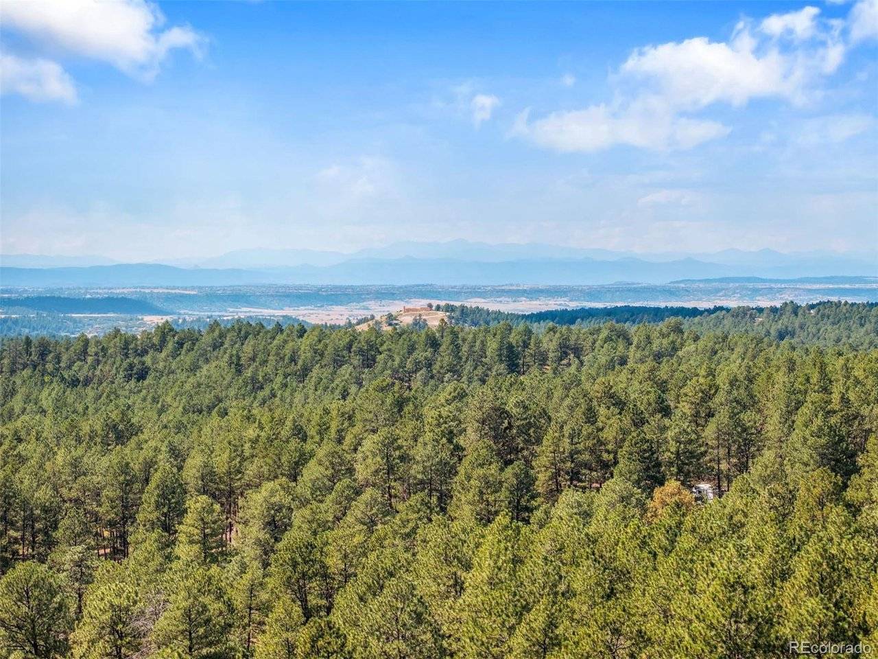 1133 Tomichi, Franktown, CO 80116