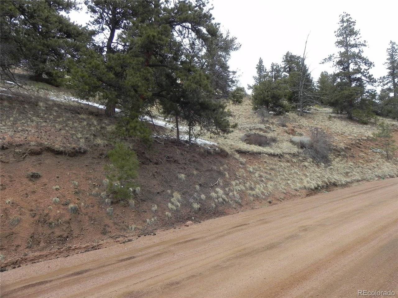 153 Idlewild, Cripple Creek, CO 80813