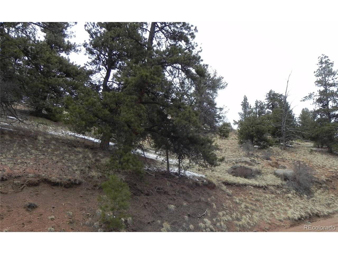 153 Idlewild, Cripple Creek, CO 80813