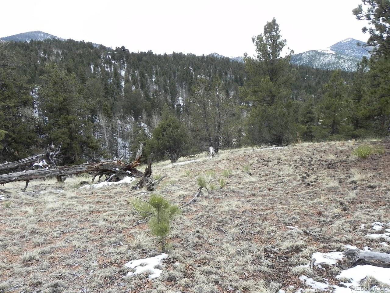 153 Idlewild, Cripple Creek, CO 80813