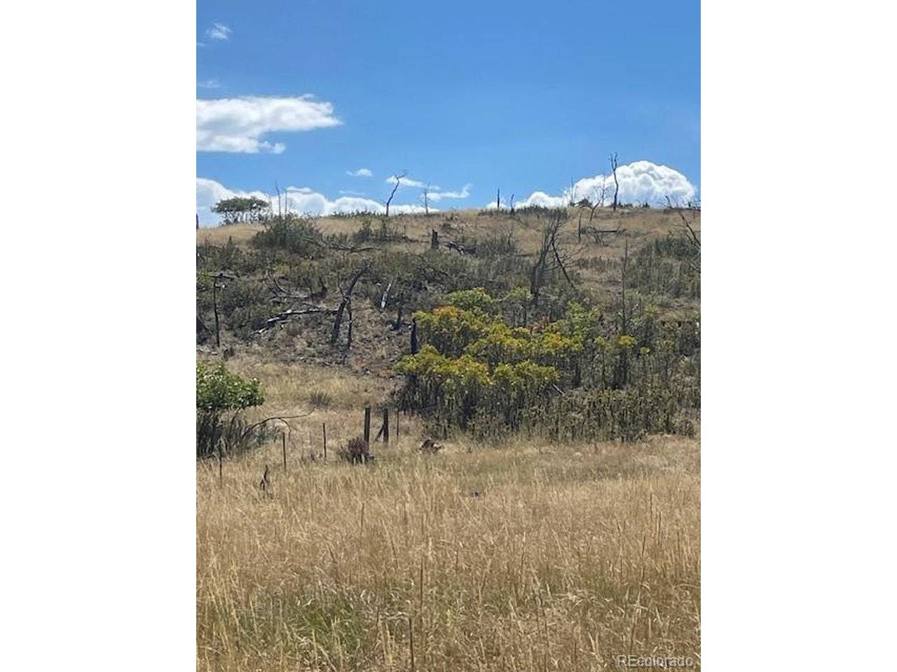 Address not disclosed, Cotopaxi, CO 81223