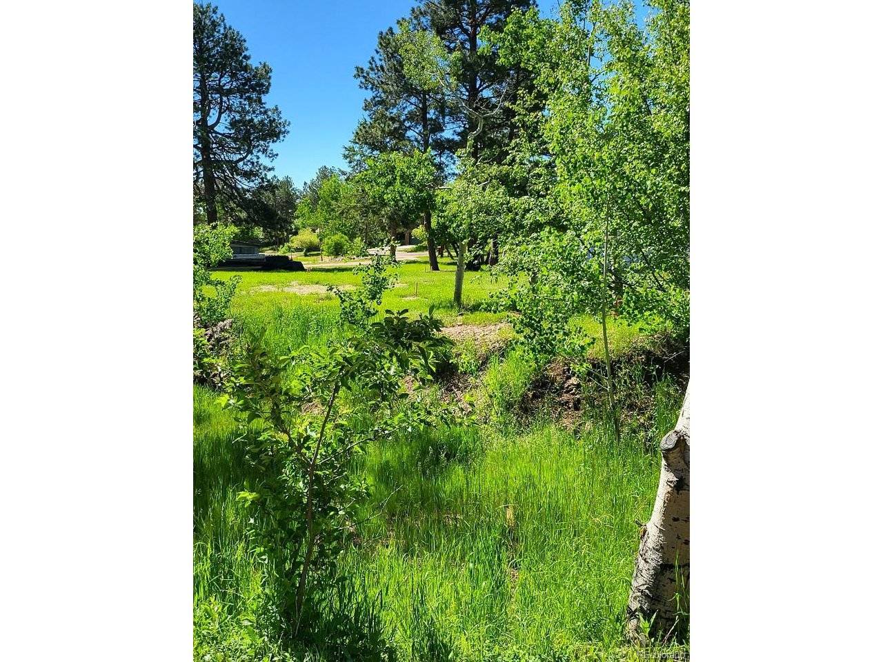 141 Virginia, Palmer Lake, CO 80133