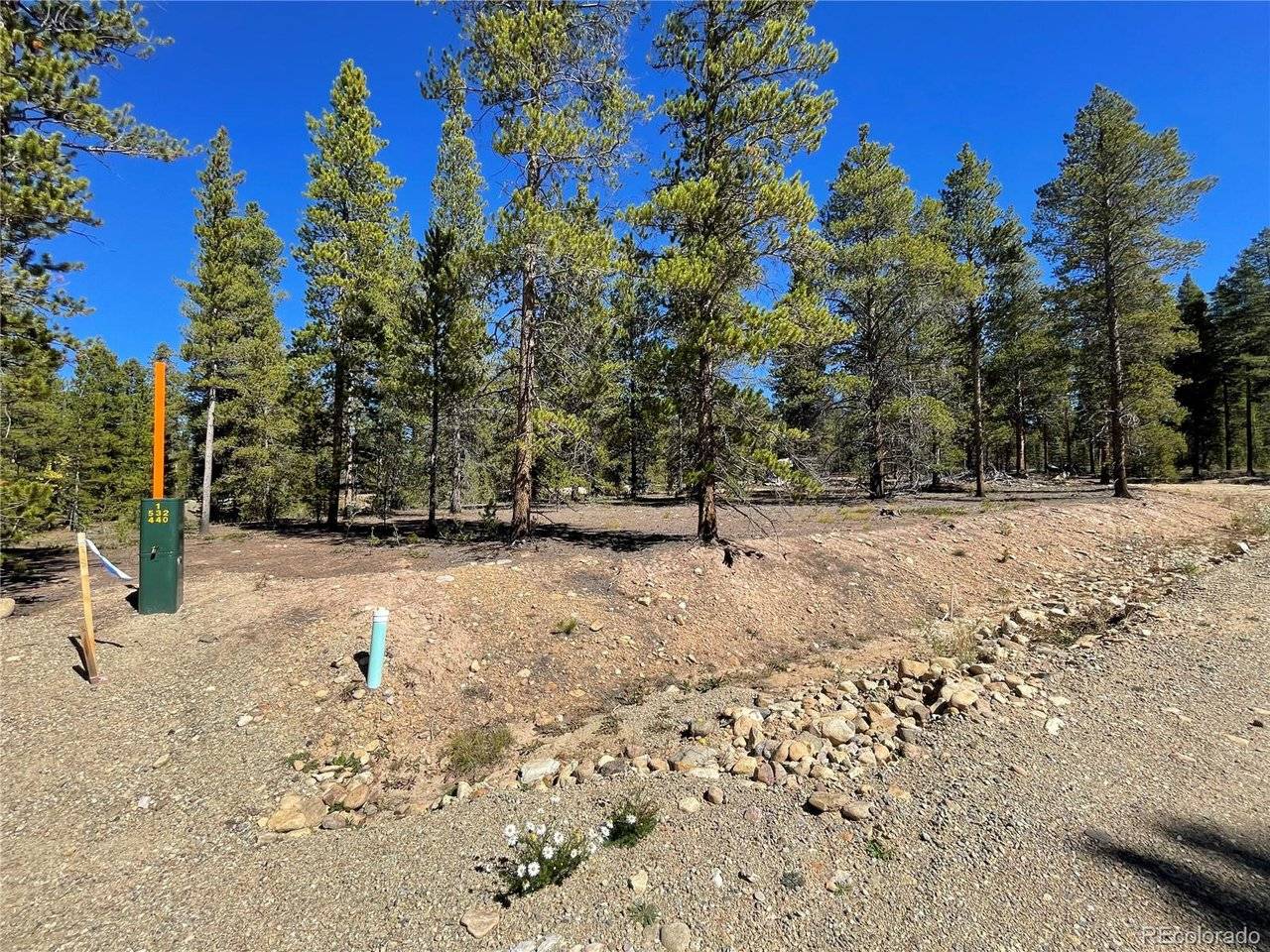 100 Virginia, Leadville, CO 80461