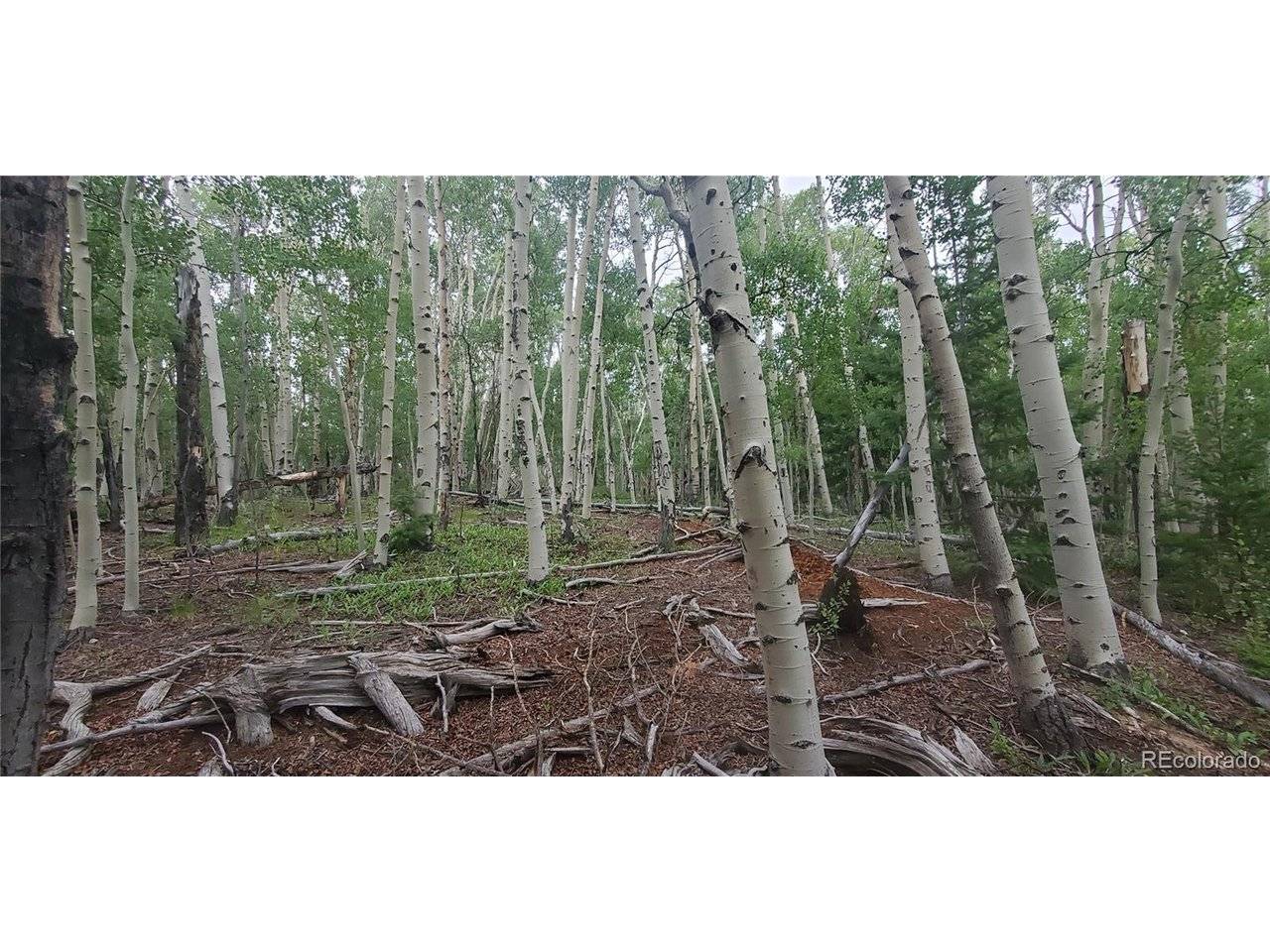 Address not disclosed, Fort Garland, CO 81133