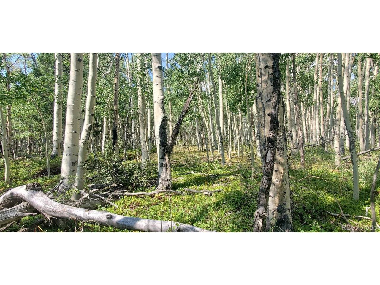 Address not disclosed, Fort Garland, CO 81133