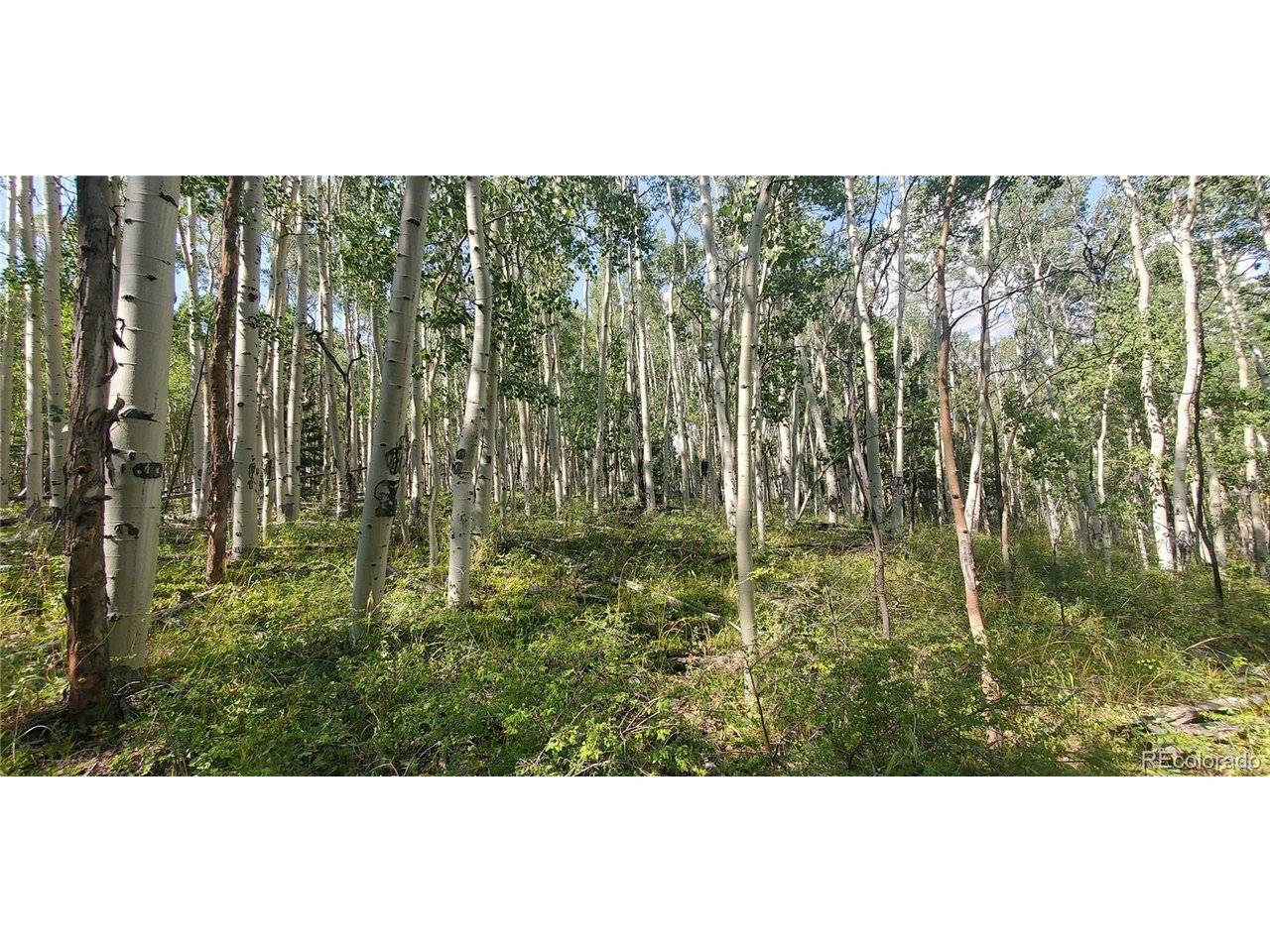 Address not disclosed, Fort Garland, CO 81133