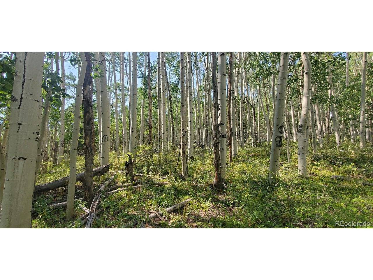 Address not disclosed, Fort Garland, CO 81133