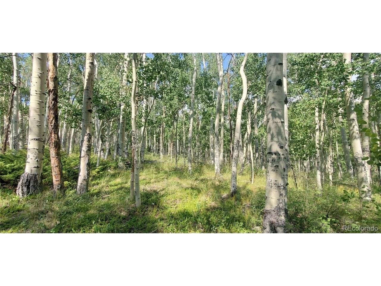 Address not disclosed, Fort Garland, CO 81133
