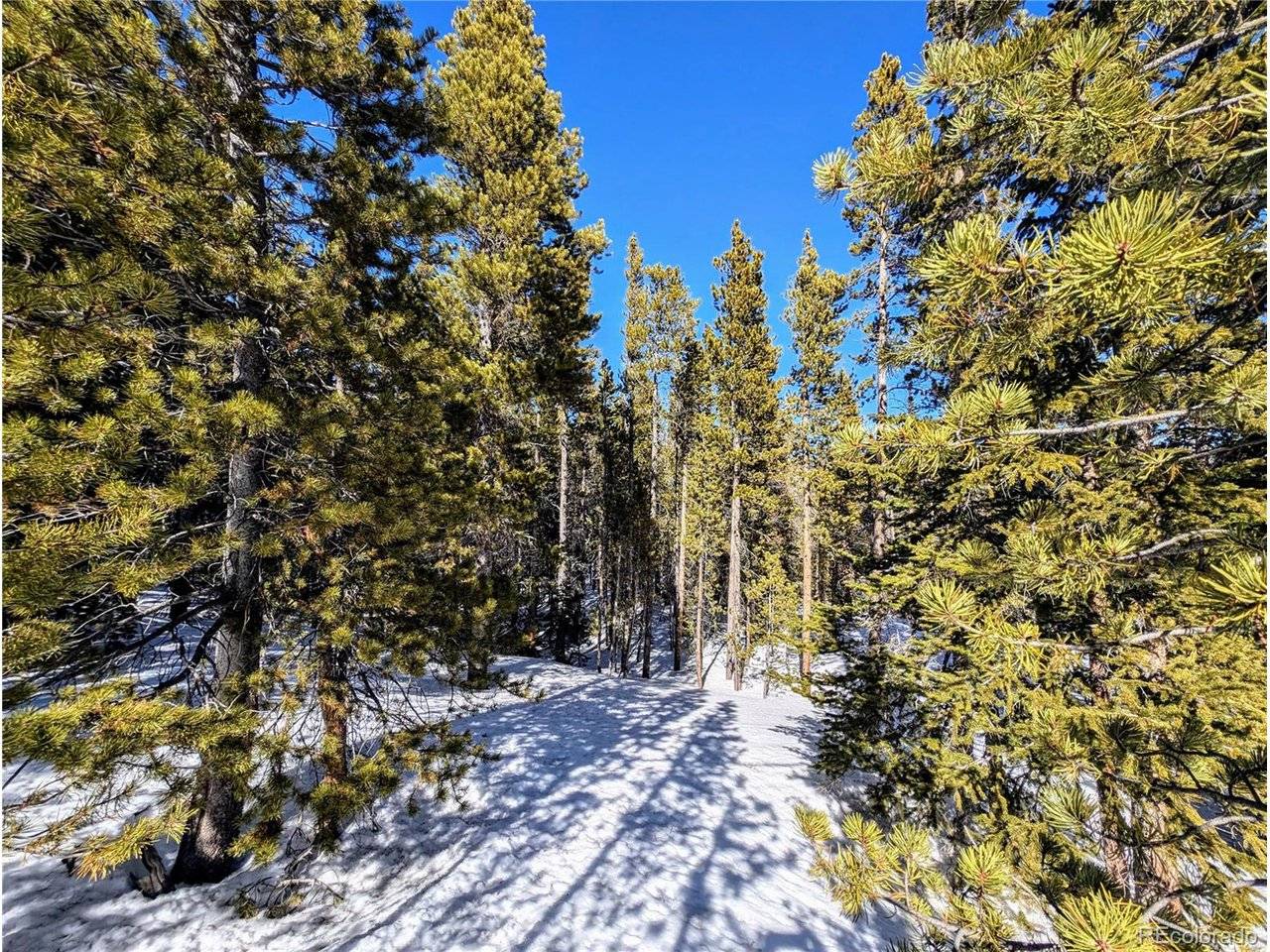234 Alice, Idaho Springs, CO 80453