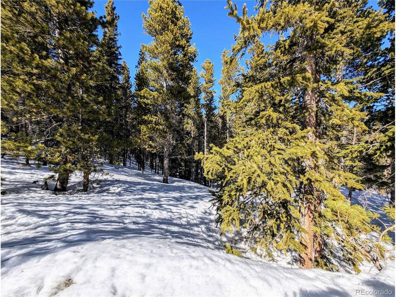 234 Alice, Idaho Springs, CO 80453