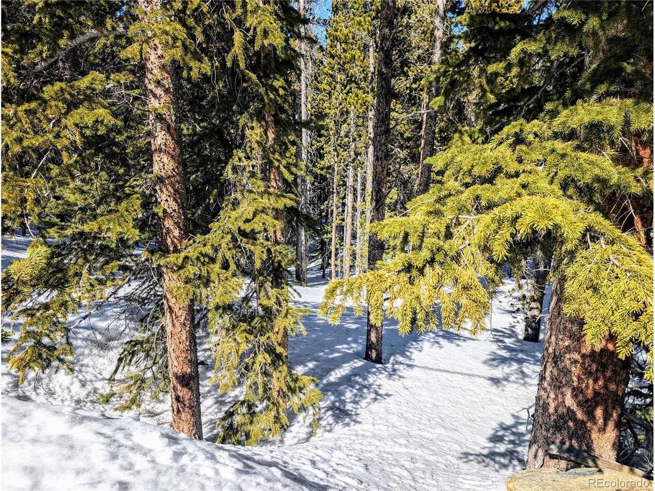 234 Alice, Idaho Springs, CO 80453