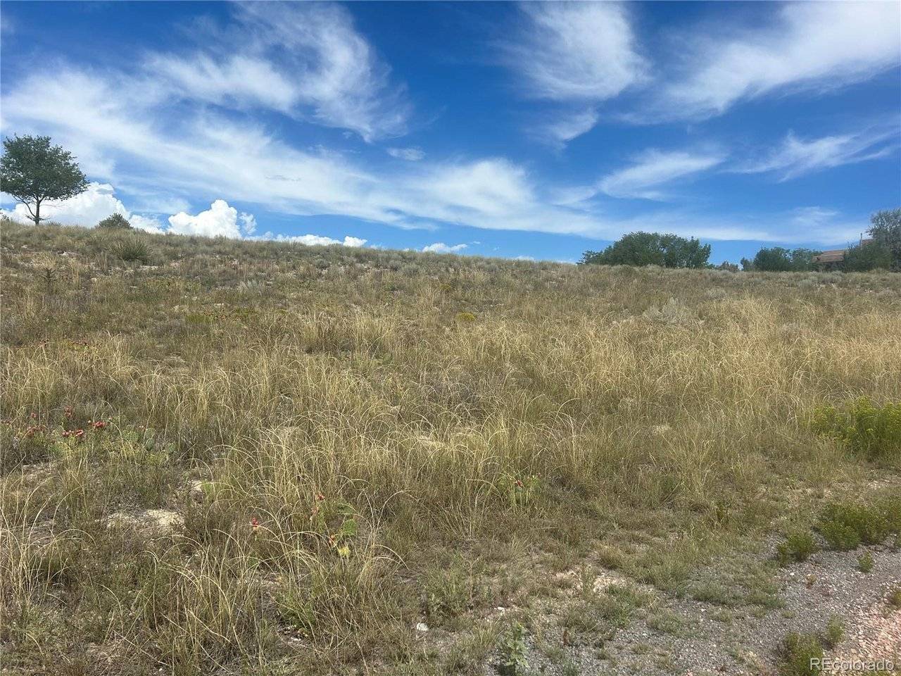 213 W Palomar, Pueblo West, CO 81007