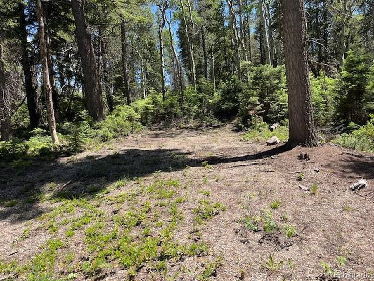 2449 Petito, Fort Garland, CO 81133