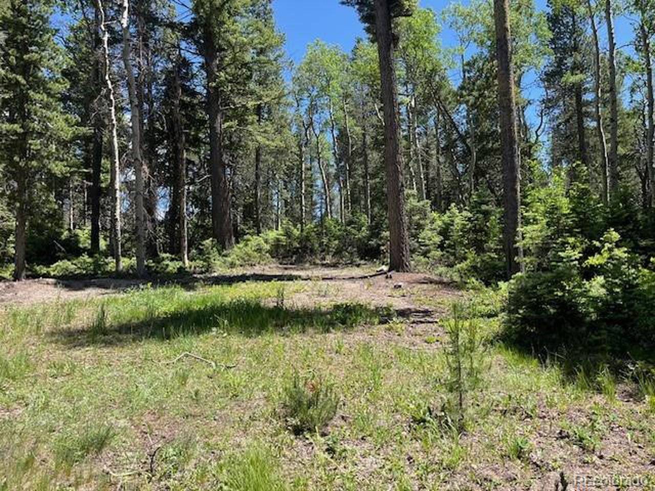 2449 Petito, Fort Garland, CO 81133