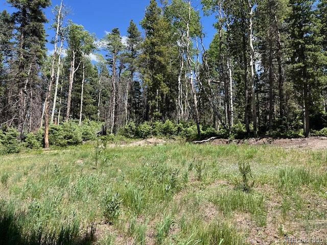 2449 Petito, Fort Garland, CO 81133