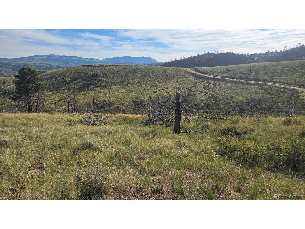 7719 Hallstein, Fort Garland, CO 81133