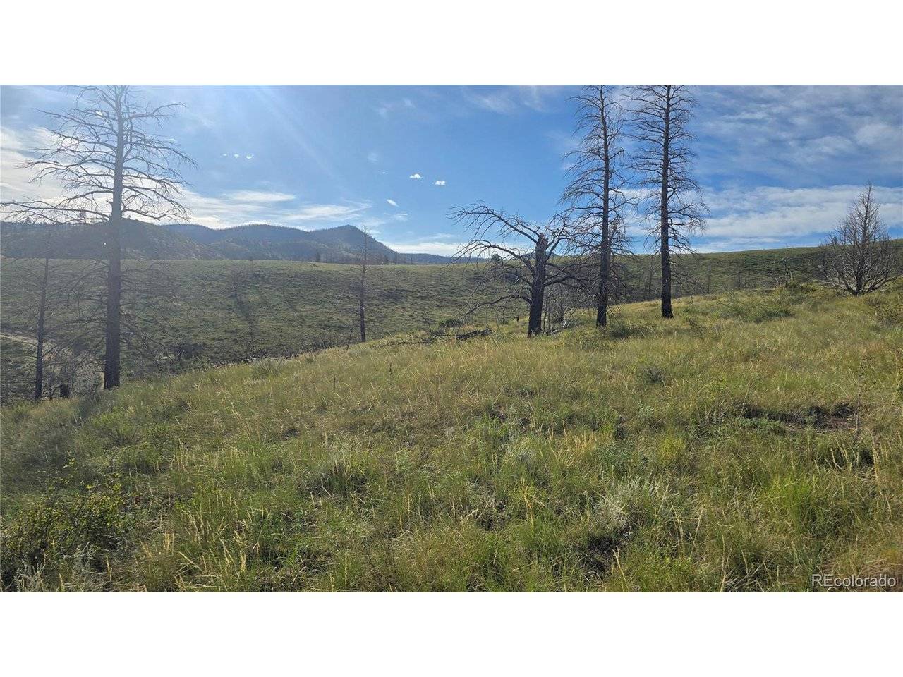 7719 Hallstein, Fort Garland, CO 81133