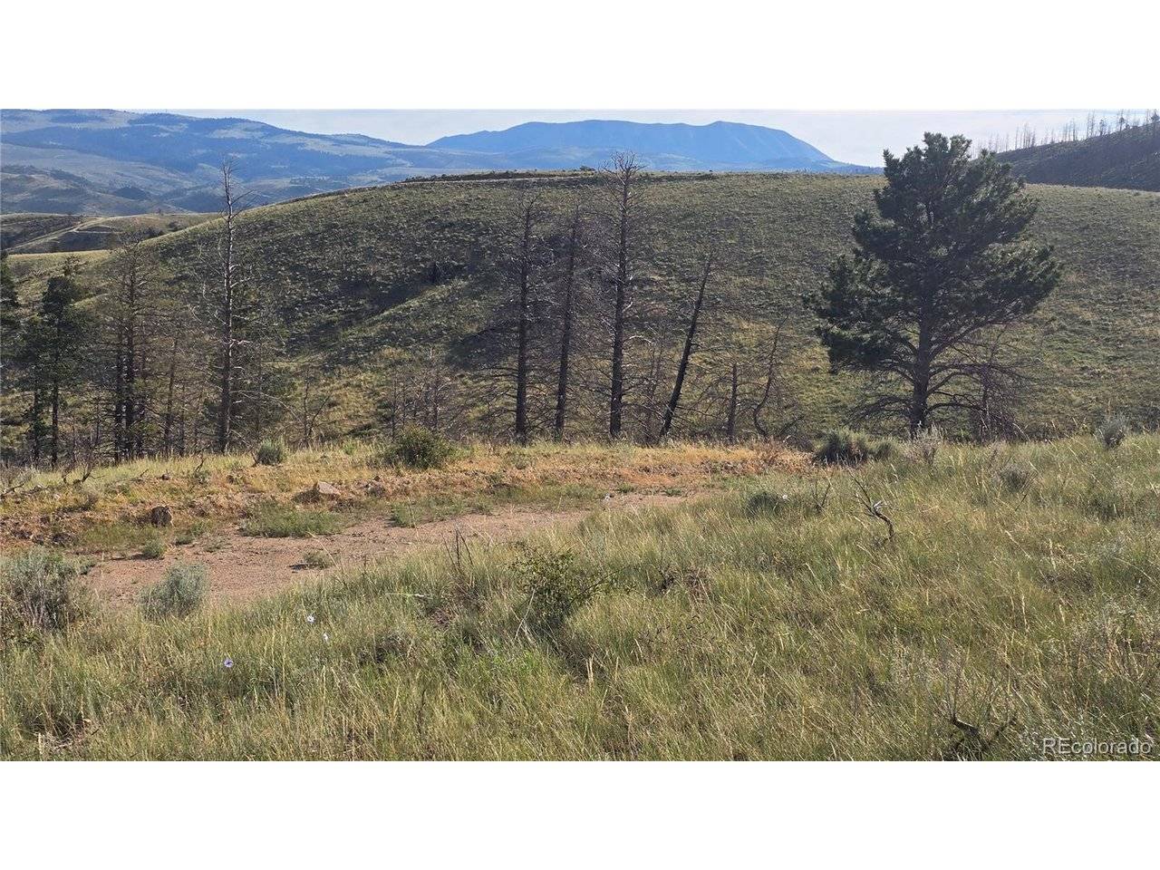 7719 Hallstein, Fort Garland, CO 81133
