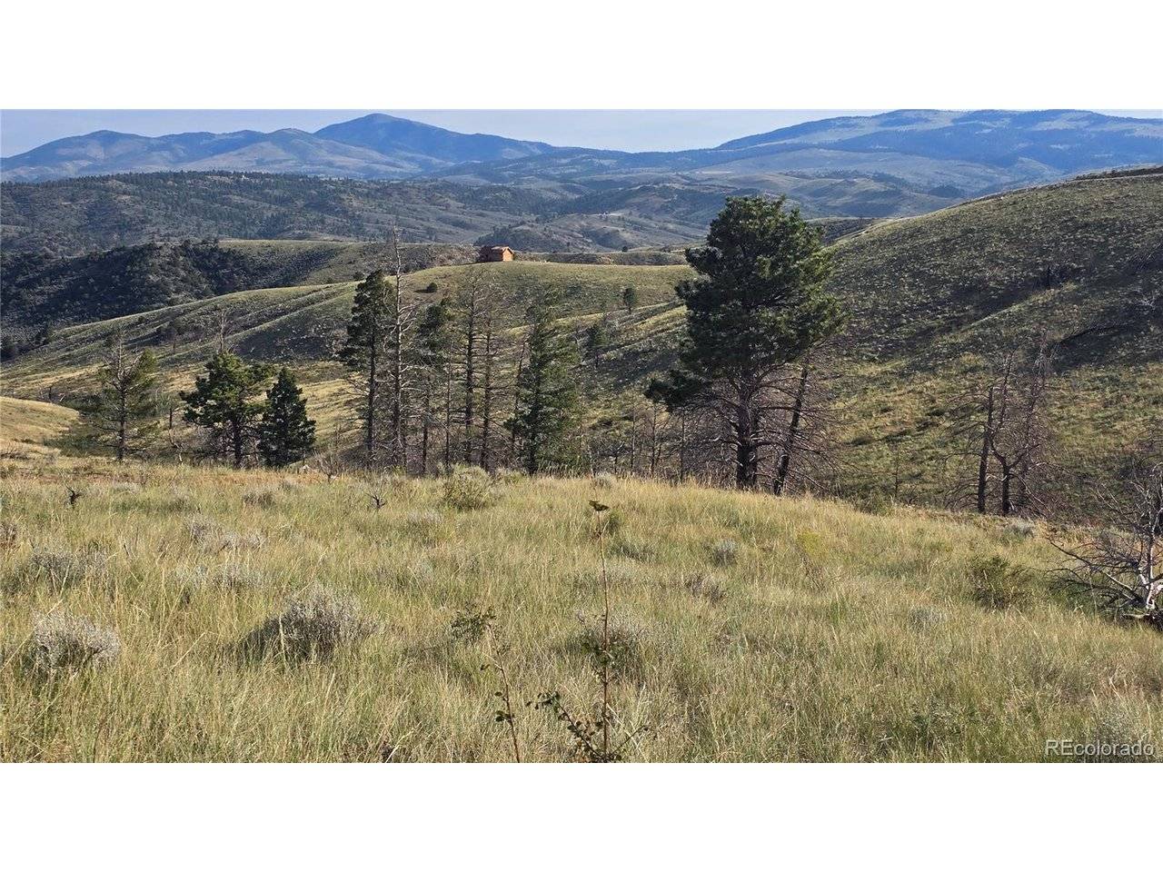 7719 Hallstein, Fort Garland, CO 81133
