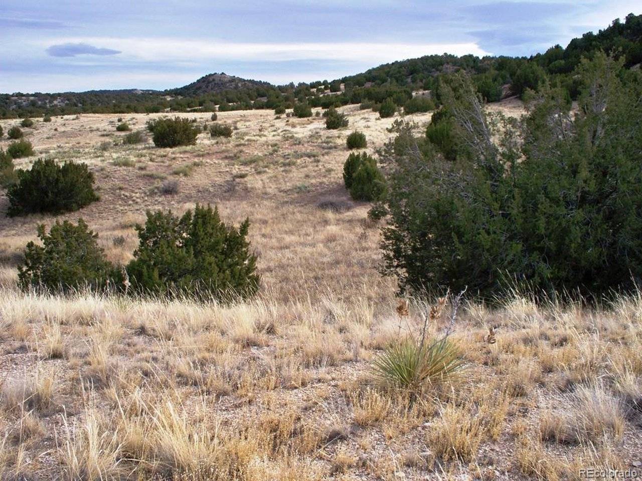 2 Red Creek Springs, Pueblo, CO 81005