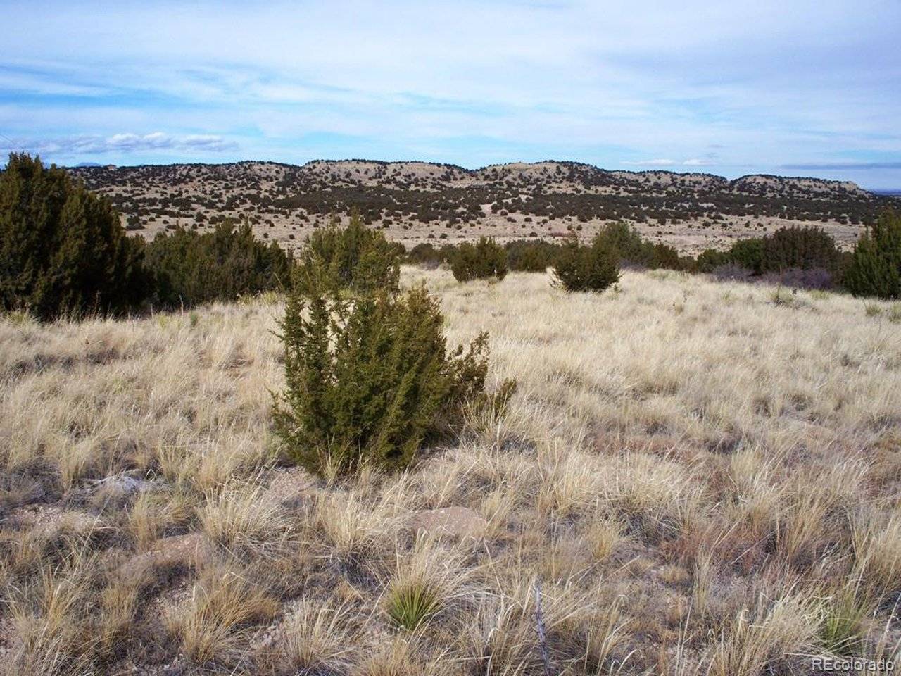 2 Red Creek Springs, Pueblo, CO 81005