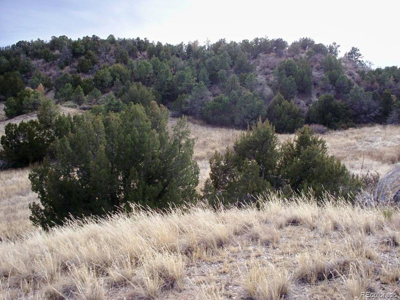 2 Red Creek Springs, Pueblo, CO 81005
