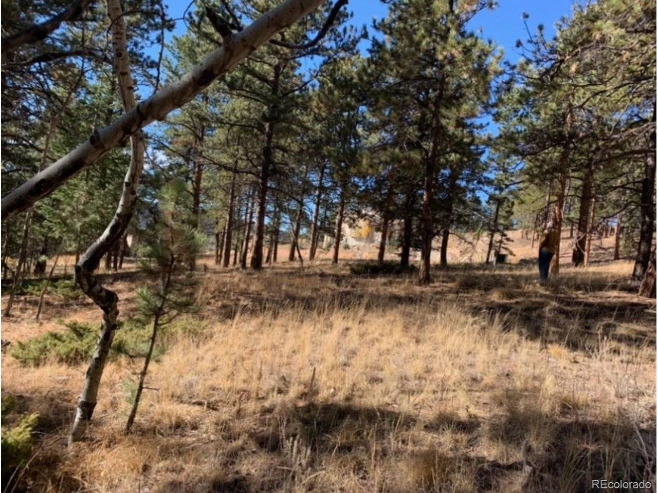 271 Thunder, Woodland Park, CO 80863