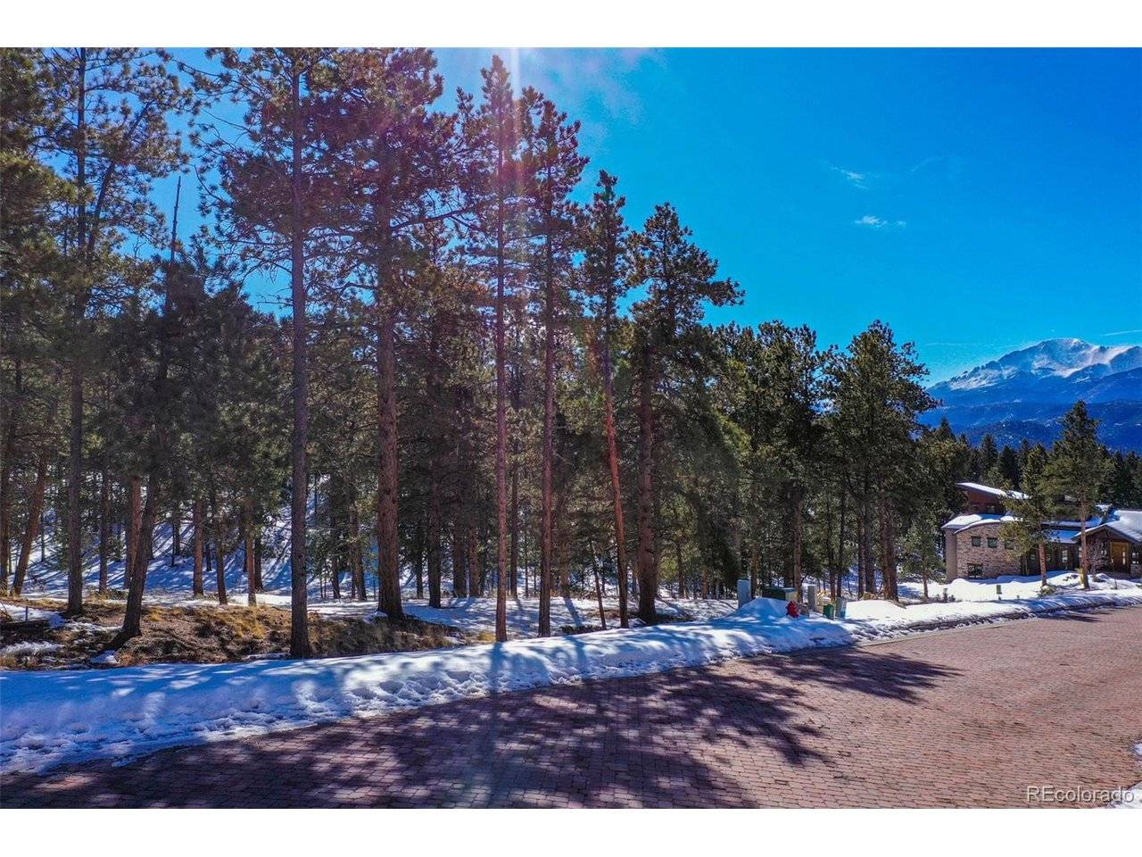 271 Thunder, Woodland Park, CO 80863