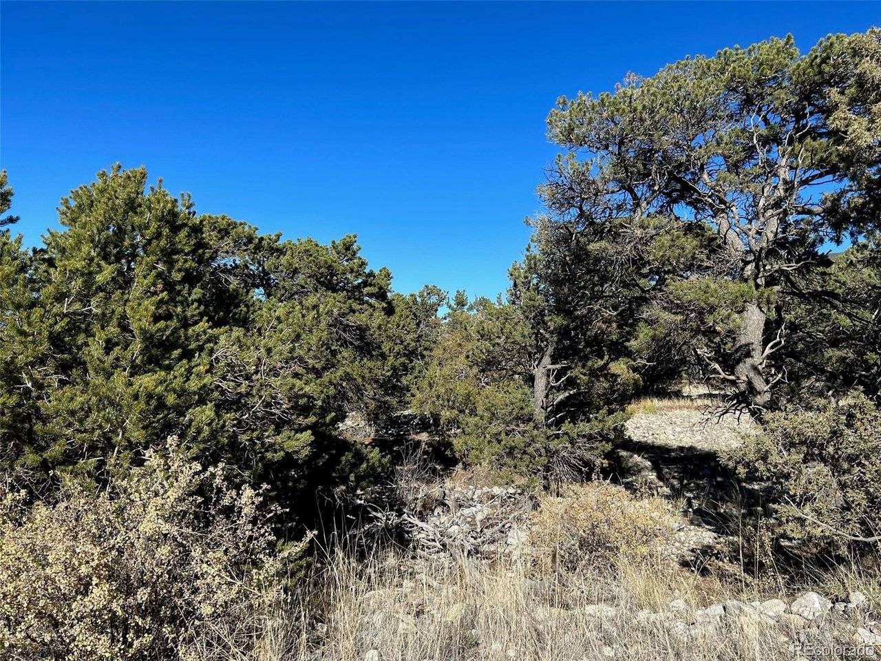 3 Mill Run, Mosca, CO 81146