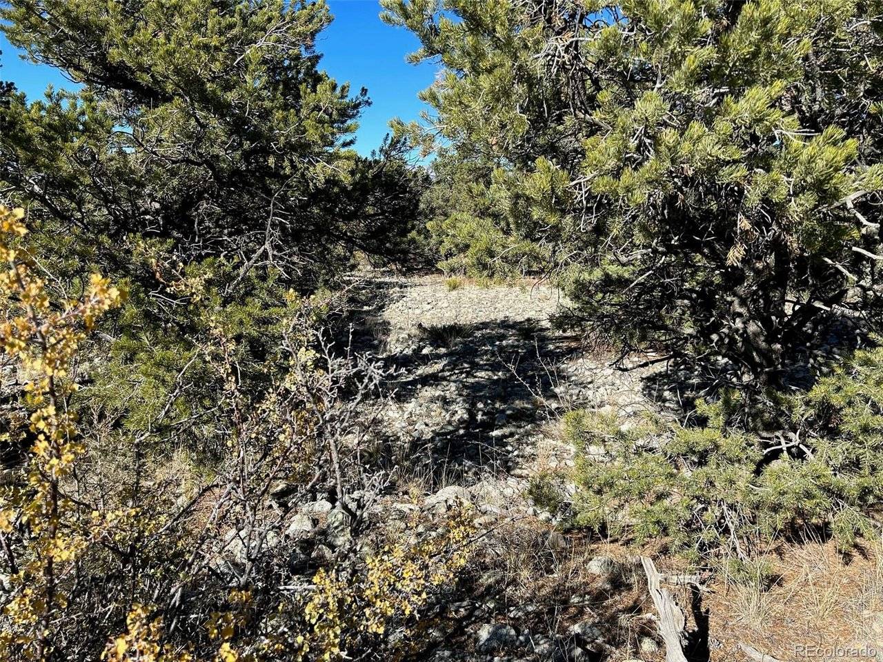 3 Mill Run, Mosca, CO 81146