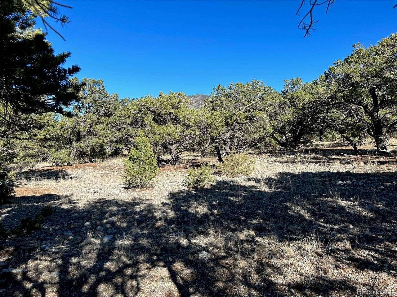 3 Mill Run, Mosca, CO 81146