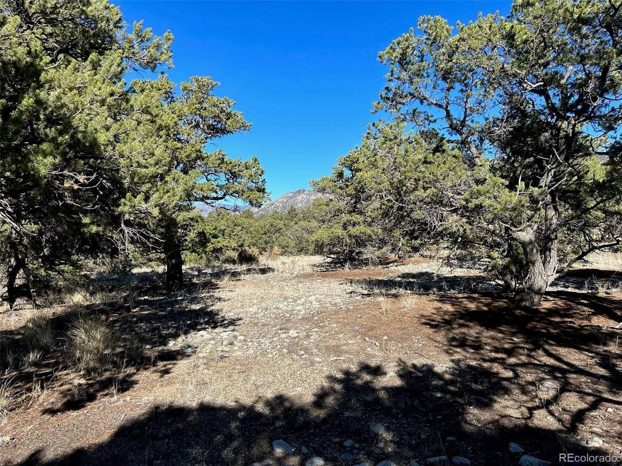 3 Mill Run, Mosca, CO 81146