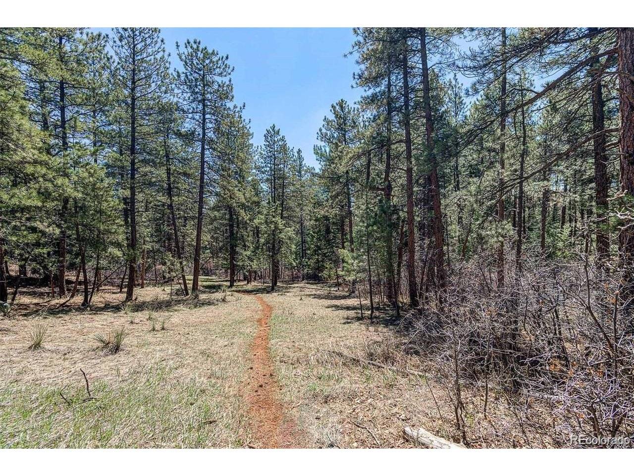 8173 Bannock, Larkspur, CO 80118