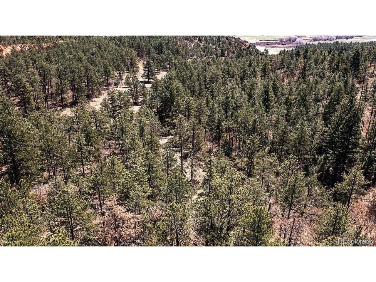 8173 Bannock, Larkspur, CO 80118