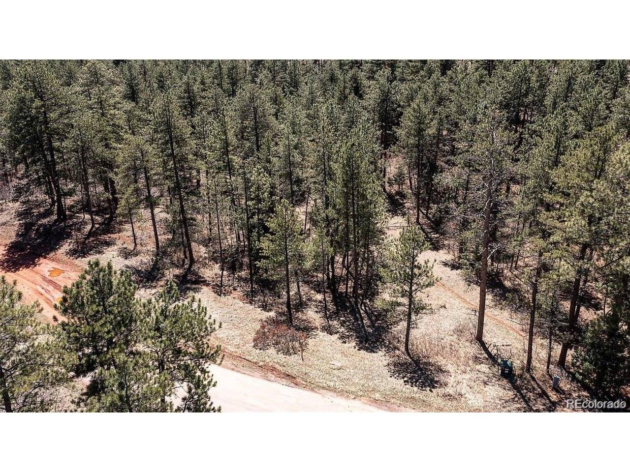 8173 Bannock, Larkspur, CO 80118