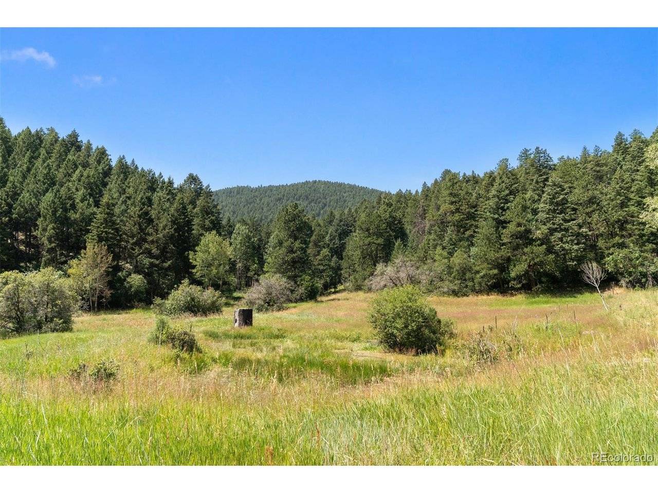 12954 Kuehster, Littleton, CO 80127
