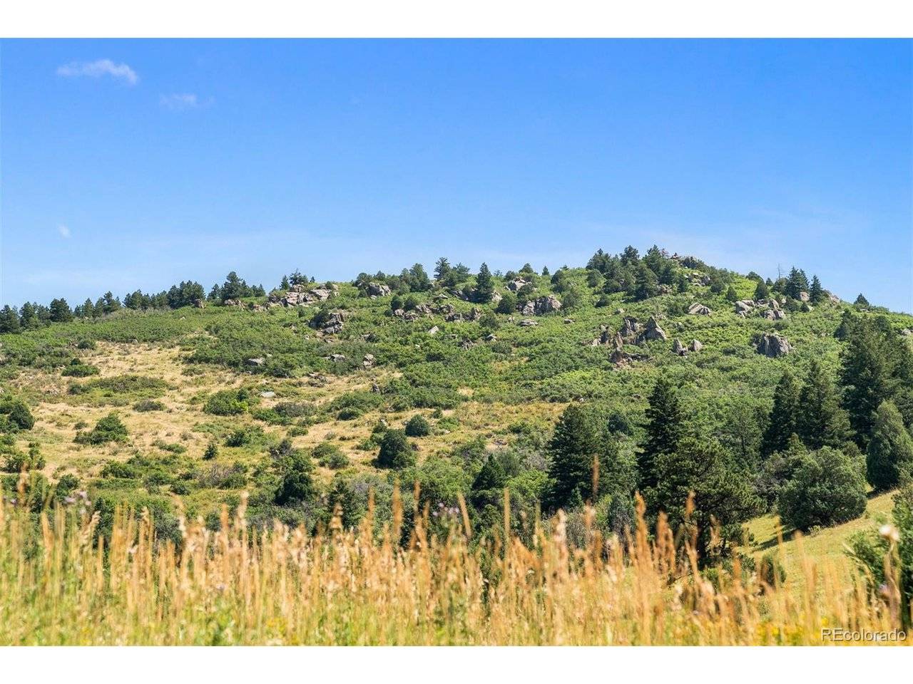 12954 Kuehster, Littleton, CO 80127