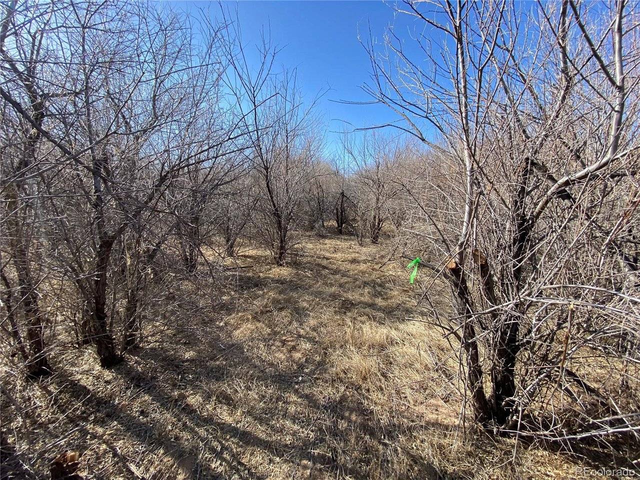 14 Ghost River Ranch, Walsenburg, CO 80189